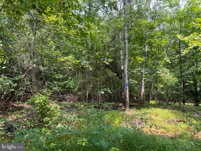3590 TWINBROOK DR, Waldorf, MD 20603