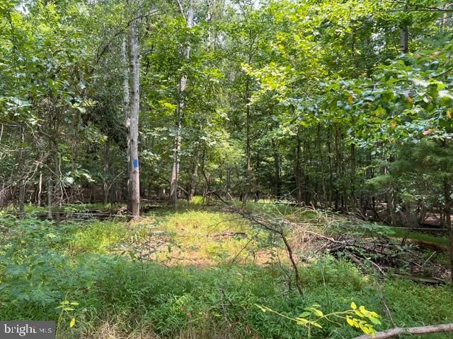 3590 TWINBROOK DR, Waldorf, MD 20603