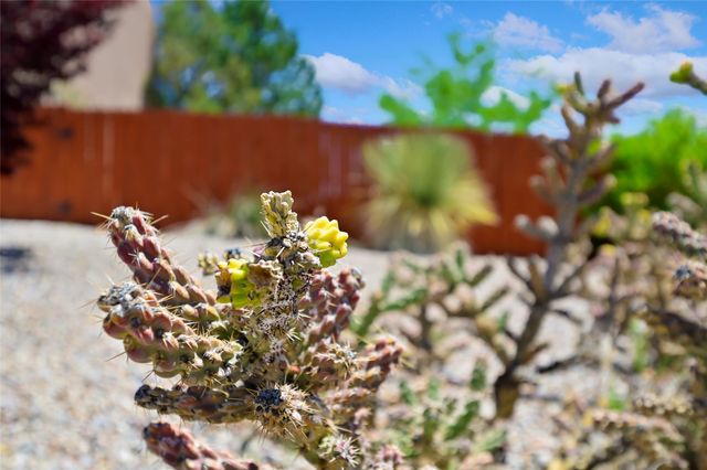 4267 Parque De Villa, Santa Fe, NM 87507
