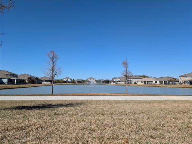 1073 MONTGOMERY BELL ROAD, Wesley Chapel, FL 33543