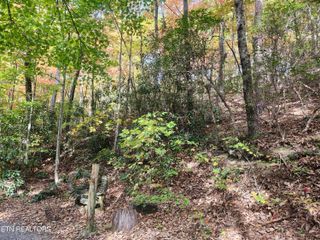 Lot 11 Bluff Mtn. Rd., Sevierville, TN 37876