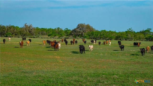TBD County Road 404, Floresville, TX 78114