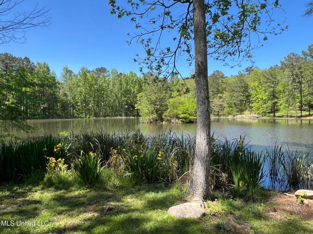 110 Hawks Nest Cove, Brandon, MS 39042