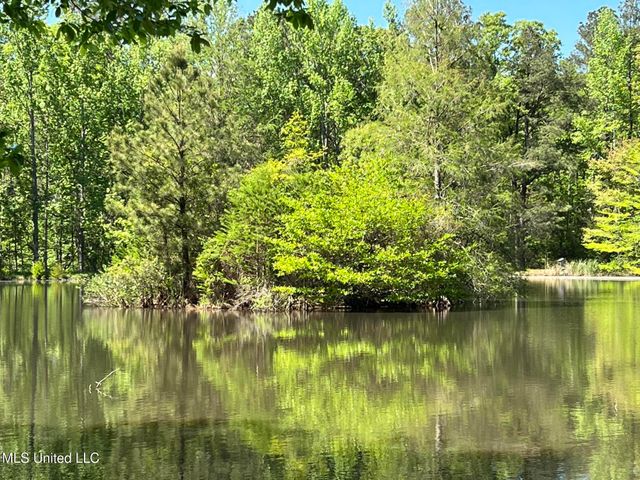 110 Hawks Nest Cove, Brandon, MS 39042