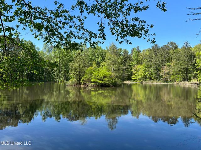 110 Hawks Nest Cove, Brandon, MS 39042
