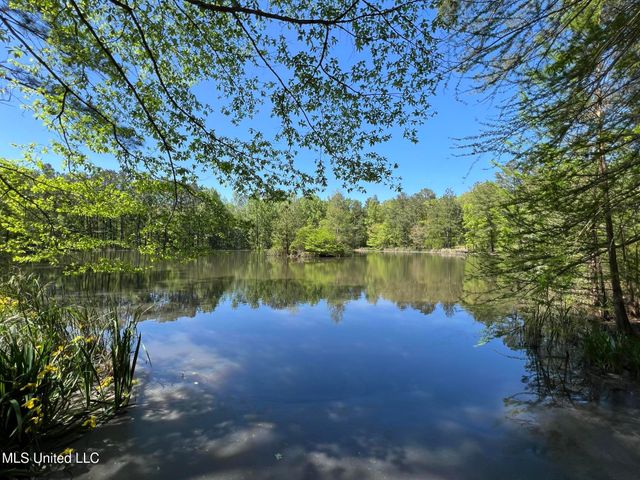 110 Hawks Nest Cove, Brandon, MS 39042