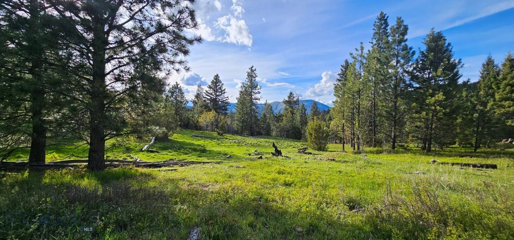 7 Tract, Bull Elk, Drummond, MT 59832 photo 14