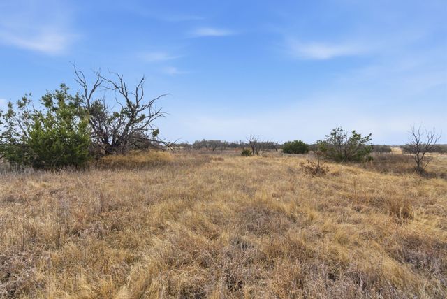 8005 Contrary Creek Road, Granbury, TX 76048