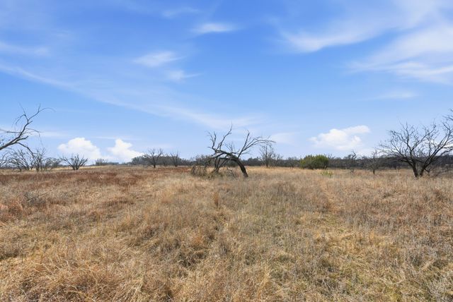 8005 Contrary Creek Road, Granbury, TX 76048