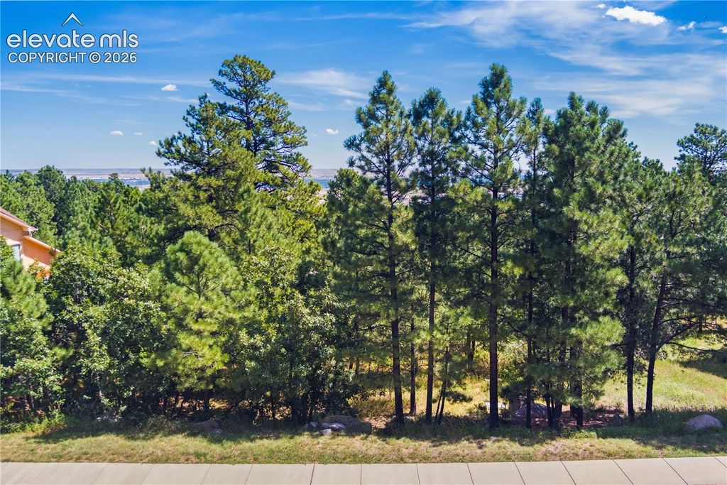 5625 Jarman Street, Colorado Springs, CO 80906 — photo 4