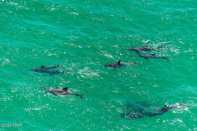 16819 Front Beach Road 1712, Panama City Beach, FL 32413