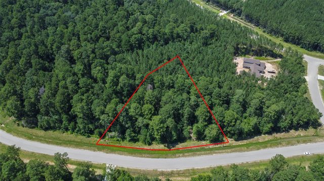 14-36-19 Sandpiper Drive, New Waverly, TX 77358