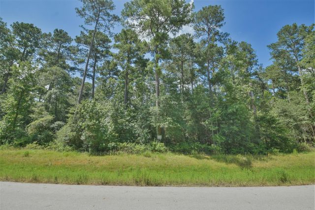14-36-19 Sandpiper Drive, New Waverly, TX 77358