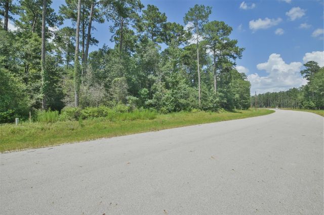 14-36-19 Sandpiper Drive, New Waverly, TX 77358