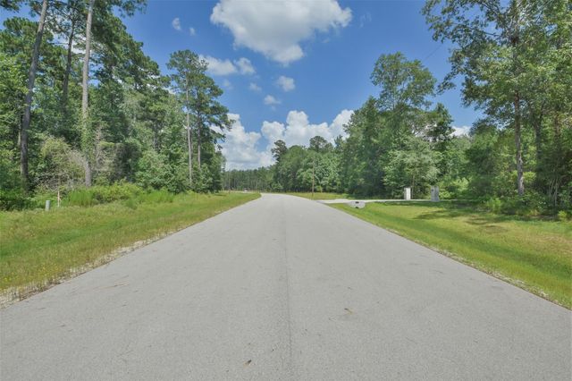 14-36-19 Sandpiper Drive, New Waverly, TX 77358