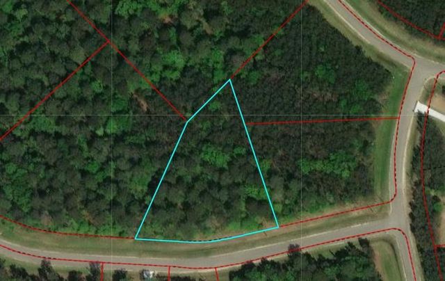 14-36-19 Sandpiper Drive, New Waverly, TX 77358