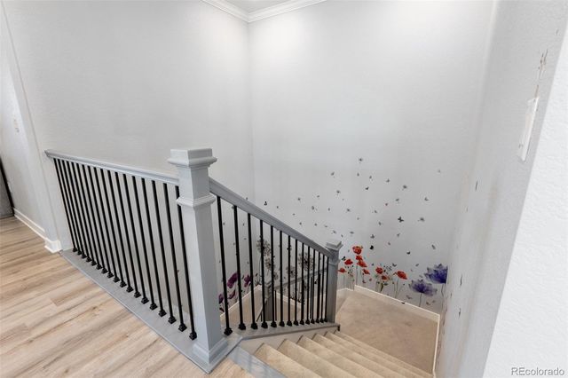 8801 S Ukraine Court, Aurora, CO 80016