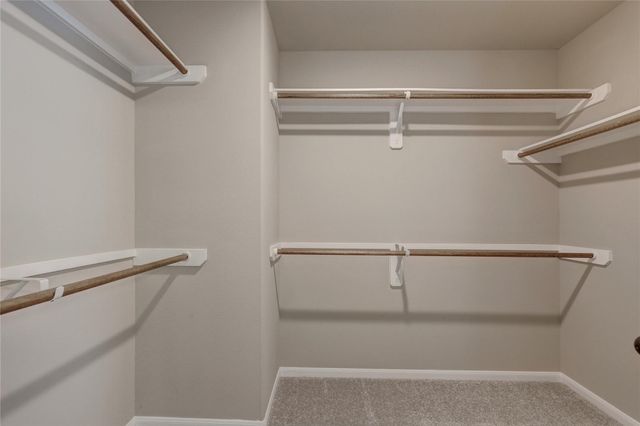 403 Black Walnut Drive, Conroe, TX 77304