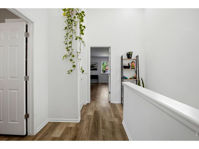 808 Gabriel Ct, Dacono, CO 80514