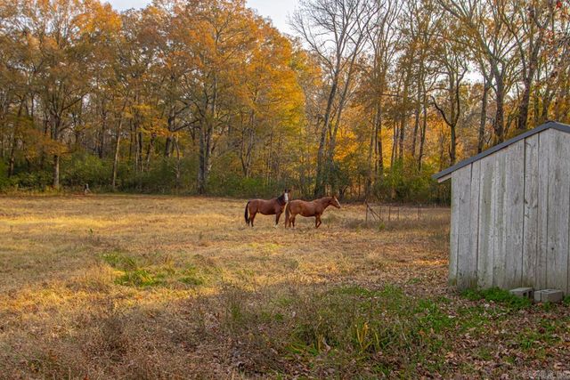 211 Liles Rd, Ward, AR 72176