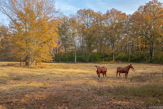 211 Liles Rd, Ward, AR 72176