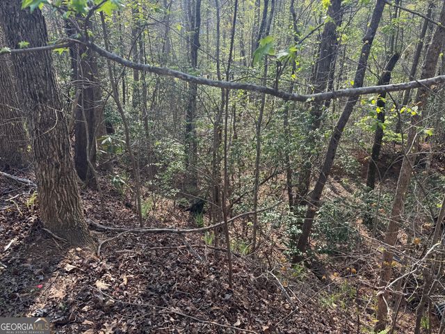 LOT 73 Dach Bruecke Gasse, Helen, GA 30545
