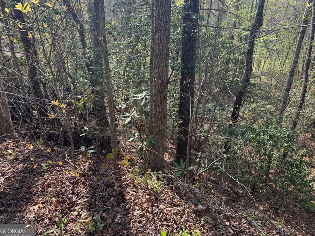 LOT 73 Dach Bruecke Gasse, Helen, GA 30545
