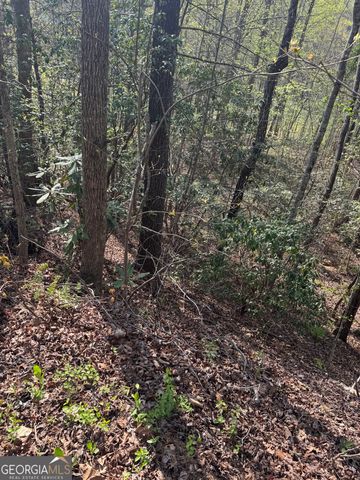 LOT 73 Dach Bruecke Gasse, Helen, GA 30545