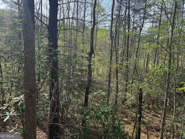 LOT 73 Dach Bruecke Gasse, Helen, GA 30545