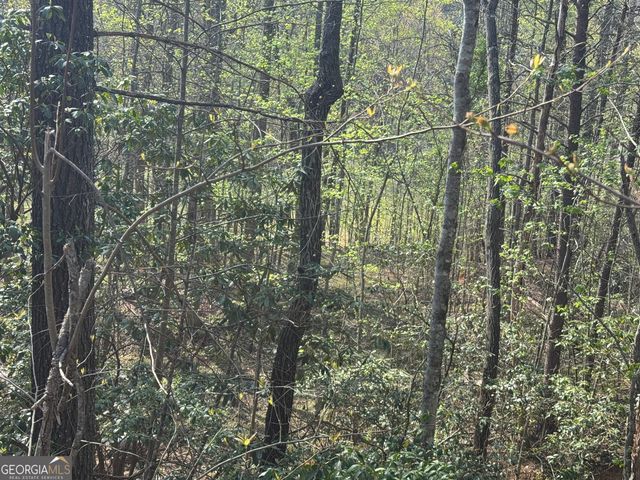 LOT 73 Dach Bruecke Gasse, Helen, GA 30545