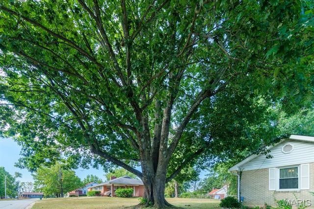 46 McFarland Drive, Rolla, MO 65401