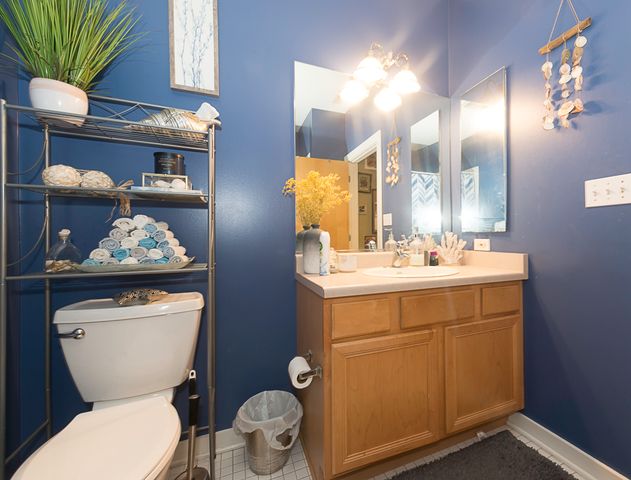 1621 S Halsted Street 405, Chicago, IL 60608