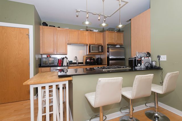 1621 S Halsted Street 405, Chicago, IL 60608