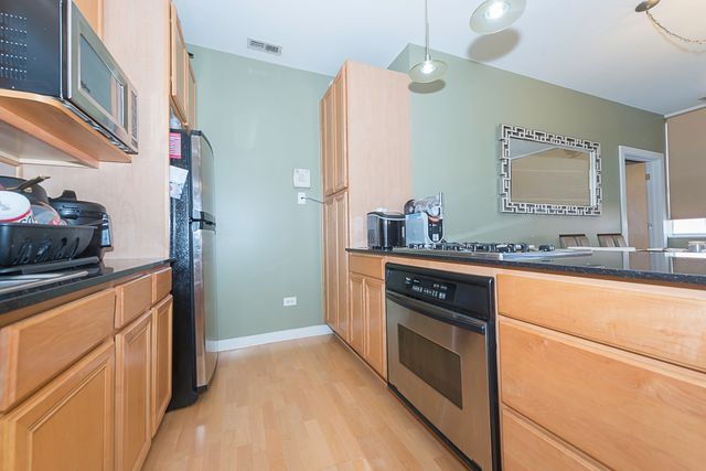 1621 S Halsted Street 405, Chicago, IL 60608