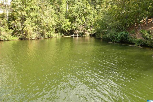 171 MARTIN LANE, Wedowee, AL 36278