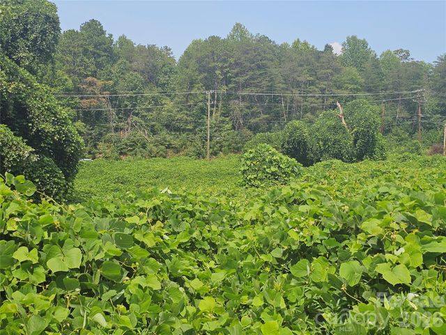 0 US 70 Highway, Connelly Springs, NC 28612