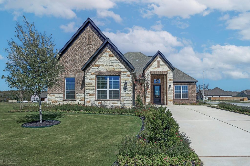 17228 Autumn Falls DR, Manor, TX 78653