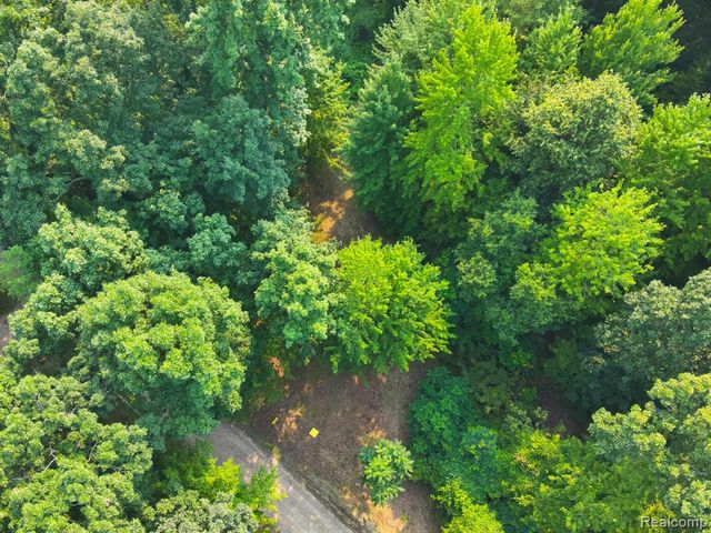 V/L Frushour Drive, Holly, MI 48442