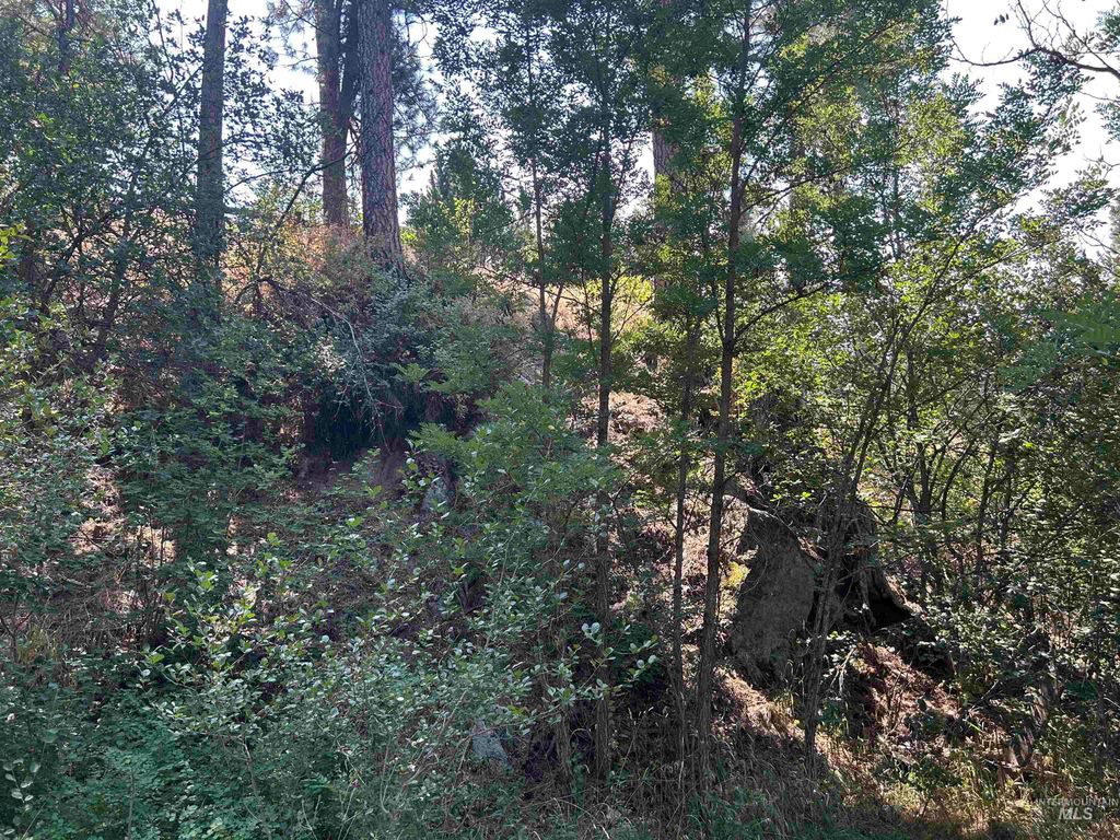 29 River Run Way, Garden Valley, ID 83622 photo 5