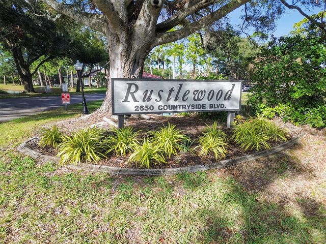 2650 COUNTRYSIDE BOULEVARD C309, Clearwater, FL 33761