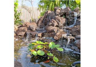 99-251 Iini Way, Aiea, HI 96701