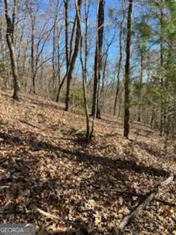 1918 Creekstone Lane, Young Harris, GA 30582