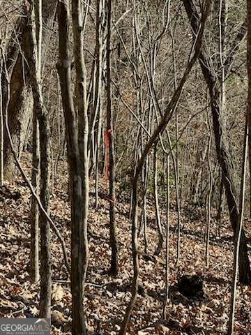 1918 Creekstone Lane, Young Harris, GA 30582