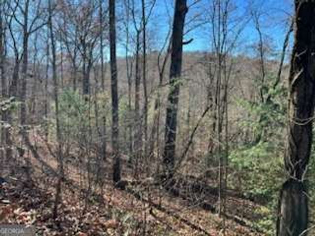 1918 Creekstone Lane, Young Harris, GA 30582