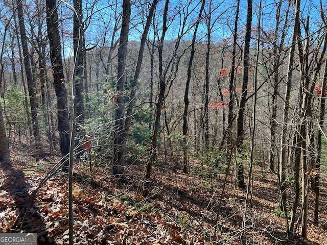 1918 Creekstone Lane, Young Harris, GA 30582