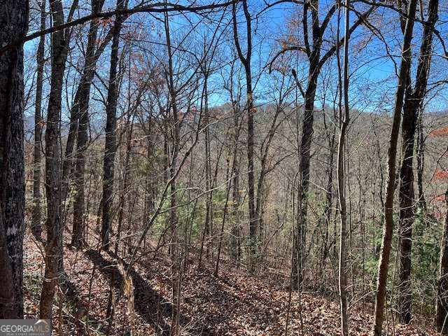 1918 Creekstone Lane, Young Harris, GA 30582