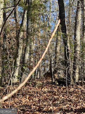 1918 Creekstone Lane, Young Harris, GA 30582