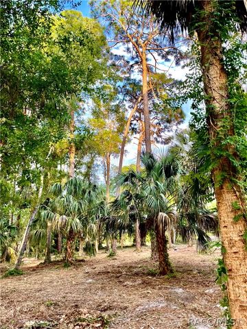 3403 N Olive Avenue, Crystal River, FL 34428