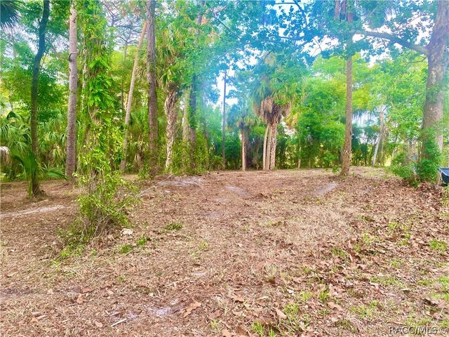 3403 N Olive Avenue, Crystal River, FL 34428