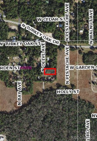 3403 N Olive Avenue, Crystal River, FL 34428